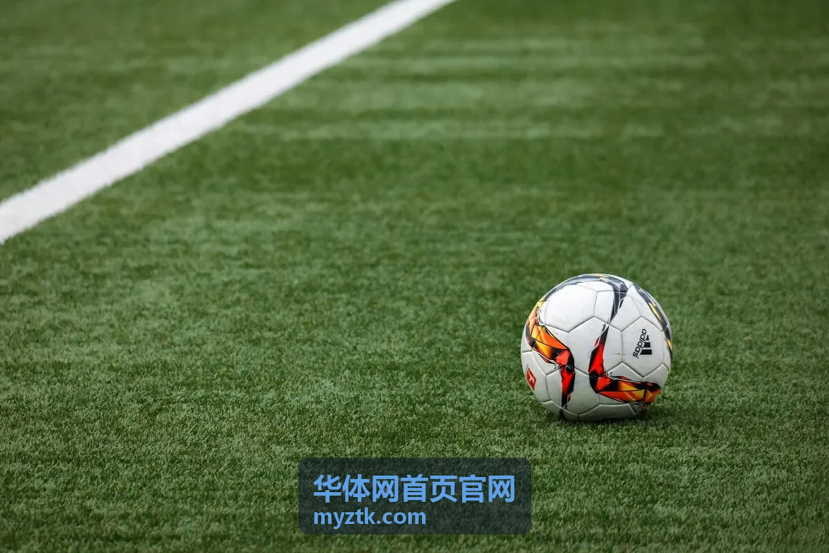 华体网首页官网企业职工运动会现场