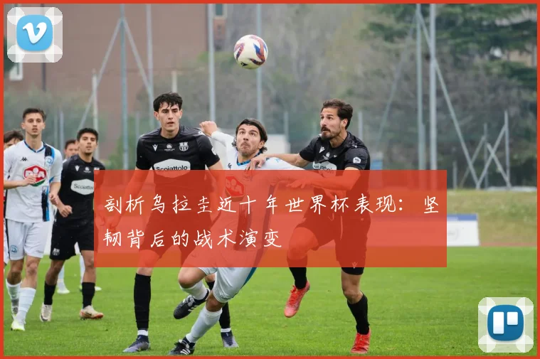 剖析乌拉圭近十年世界杯表现：坚韧背后的战术演变