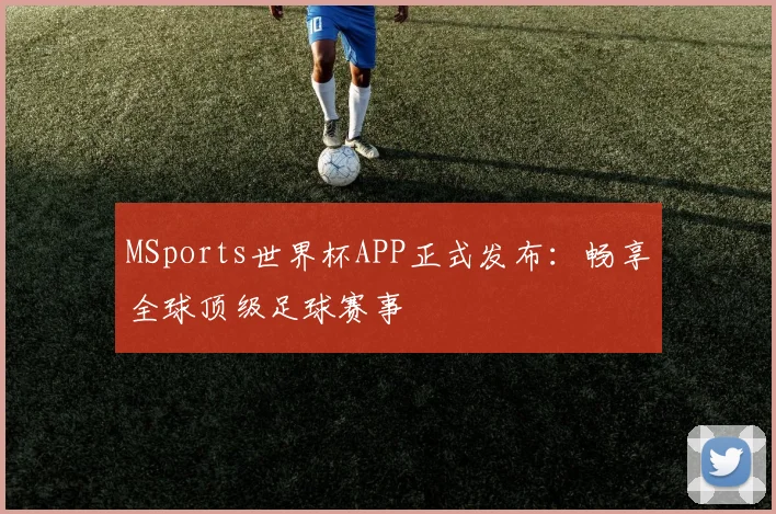 MSports世界杯APP正式发布：畅享全球顶级足球赛事
