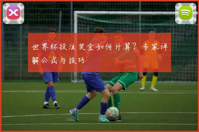 世界杯投注奖金如何计算?专家详解公式与技巧