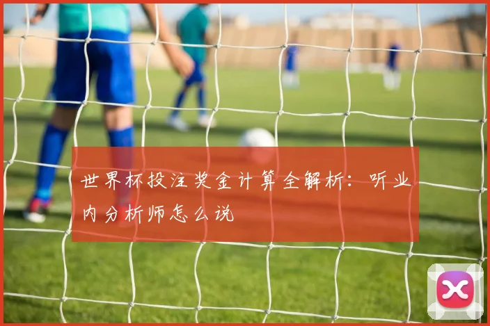 世界杯投注奖金计算全解析：听业内分析师怎么说