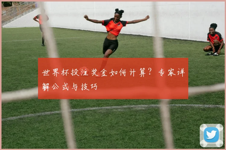 世界杯投注奖金如何计算?专家详解公式与技巧