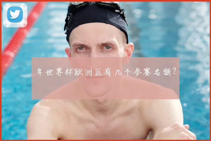 年世界杯欧洲区有几个参赛名额？