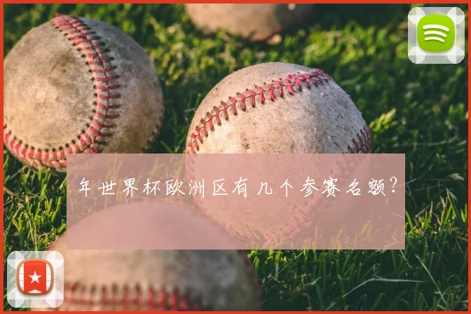 年世界杯欧洲区有几个参赛名额？