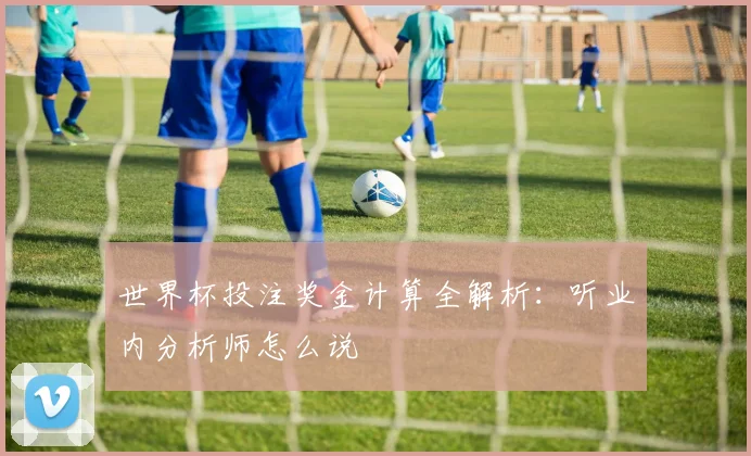 世界杯投注奖金计算全解析：听业内分析师怎么说