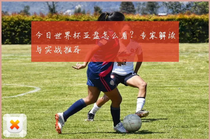 今日世界杯亚盘怎么看?专家解读与实战推荐