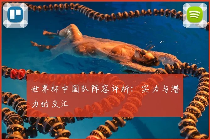 世界杯中国队阵容评析:实力与潜力的交汇
