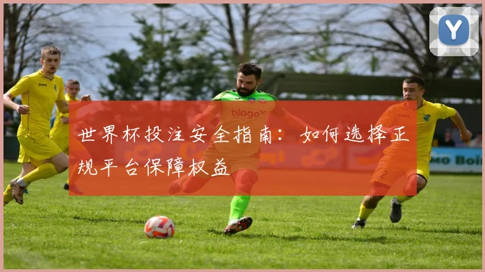 世界杯投注安全指南：如何选择正规平台保障权益